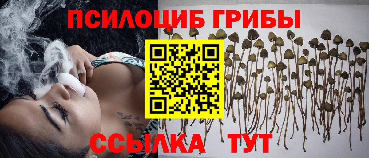 Псилоцибиновые грибы MAGIC MUSHROOMS  Вход с VPN  даркнет сайт  Новотроицк 