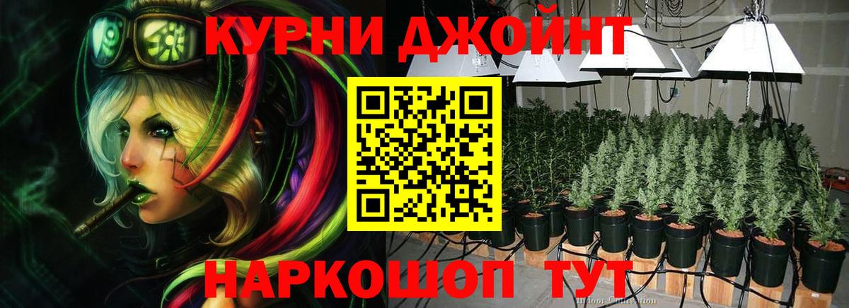 Канабис план  Канабис план  Марихуана гибрид  Новотроицк  Вход с VPN 